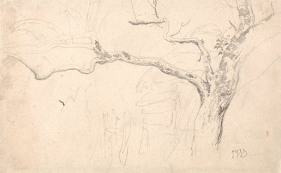 Studio di un albero da James Ward